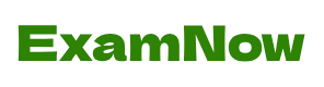 ExamNow-logo